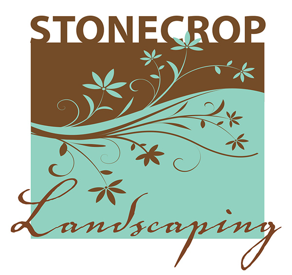 stonecrop